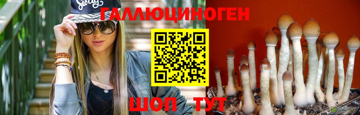 Псилоцибиновые грибы мухоморы Лянтор
